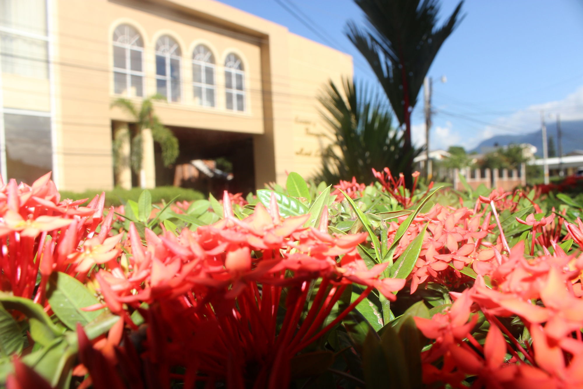 Hotel La Quinta La Ceiba Buitenkant foto